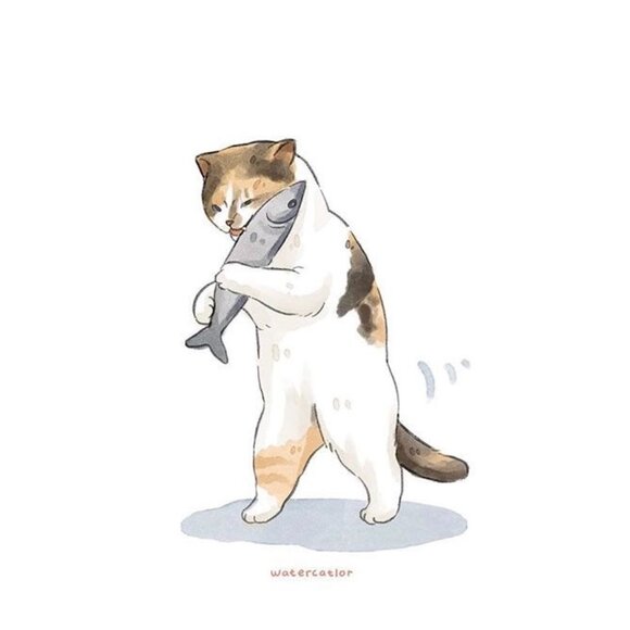 Meet your Posher, Paula - Picture 1 of 1